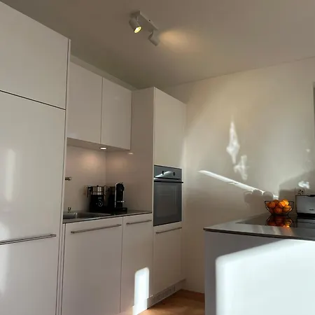 Chesa Unica - Terrassa Apartment